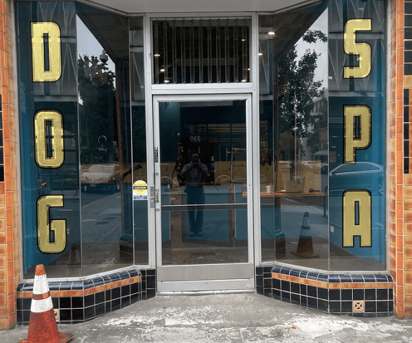 pet grooming oakland
