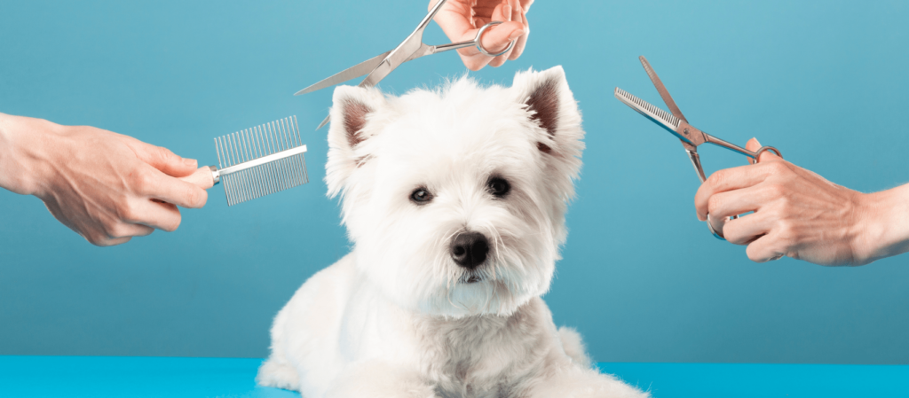 mobile pet grooming oakland ca