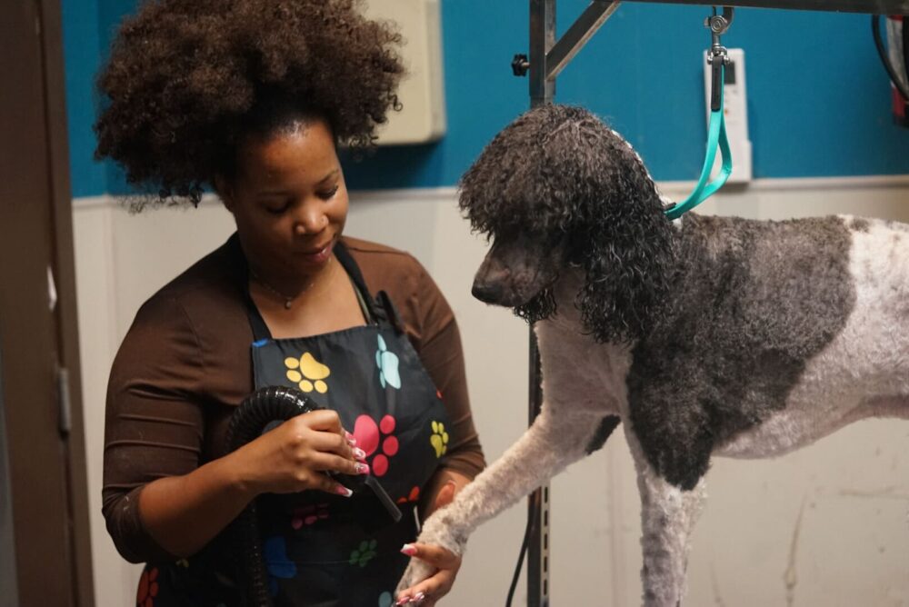 Tanitsha Price, Pet Stylist & Owner at The Pawlor Salon & Spa in Oakland, CA
